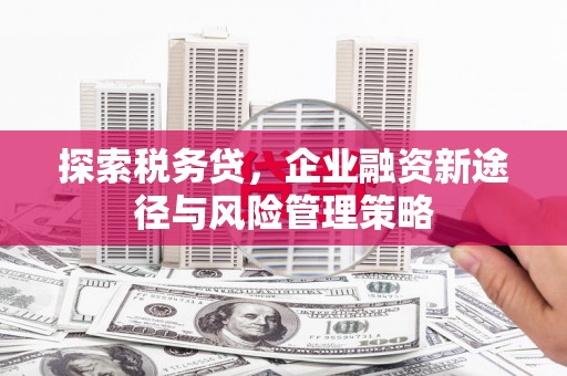 井陉矿区探索税务贷，企业融资新途径与风险管理策略