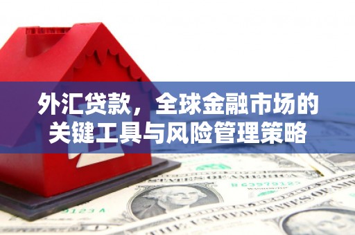 井陉矿区外汇贷款，全球金融市场的关键工具与风险管理策略