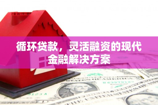 井陉矿区循环贷款，灵活融资的现代金融解决方案