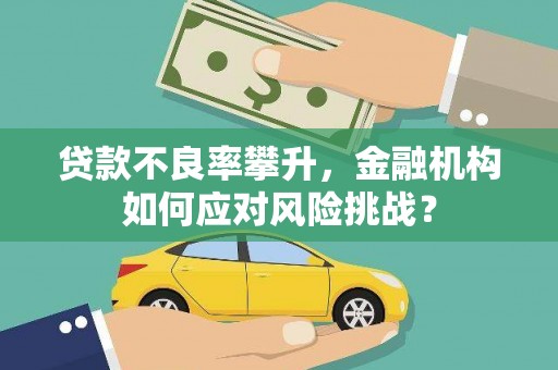 井陉矿区贷款不良率攀升，金融机构如何应对风险挑战？
