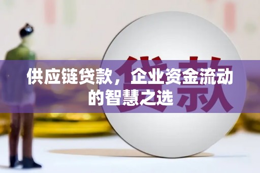 井陉矿区供应链贷款，企业资金流动的智慧之选