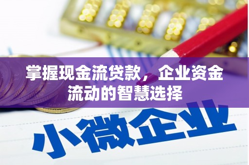 井陉矿区掌握现金流贷款，企业资金流动的智慧选择