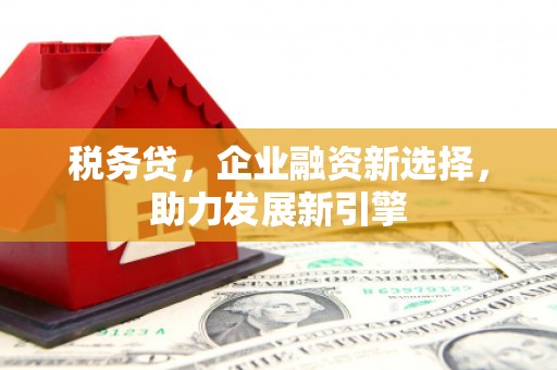 井陉矿区税务贷，企业融资新选择，助力发展新引擎
