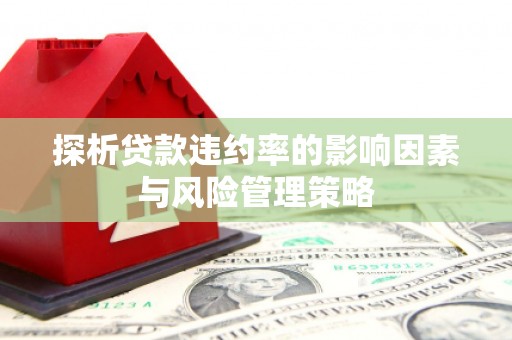 井陉矿区探析贷款违约率的影响因素与风险管理策略