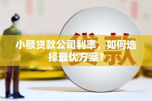 井陉矿区小额贷款公司利率，如何选择最优方案？