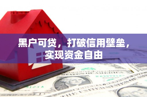 井陉矿区黑户可贷，打破信用壁垒，实现资金自由