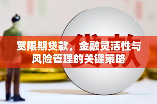 井陉矿区宽限期贷款，金融灵活性与风险管理的关键策略