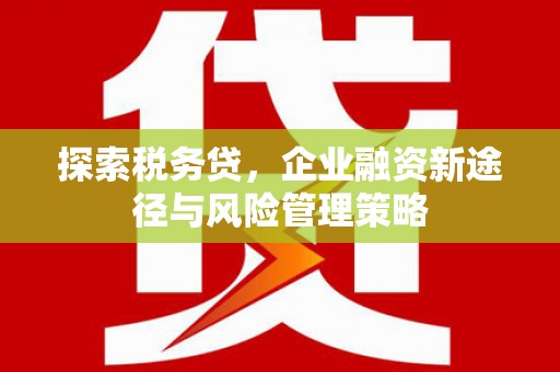 井陉矿区探索税务贷，企业融资新途径与风险管理策略