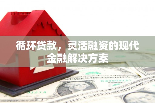 井陉矿区循环贷款，灵活融资的现代金融解决方案