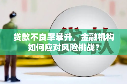 井陉矿区贷款不良率攀升，金融机构如何应对风险挑战？