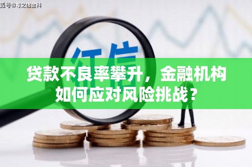 井陉矿区贷款不良率攀升，金融机构如何应对风险挑战？