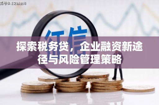 井陉矿区探索税务贷，企业融资新途径与风险管理策略