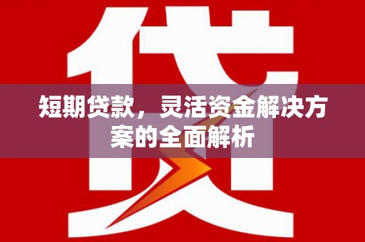 井陉矿区短期贷款，灵活资金解决方案的全面解析