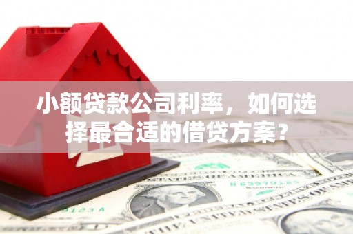 井陉矿区小额贷款公司利率，如何选择最合适的借贷方案？