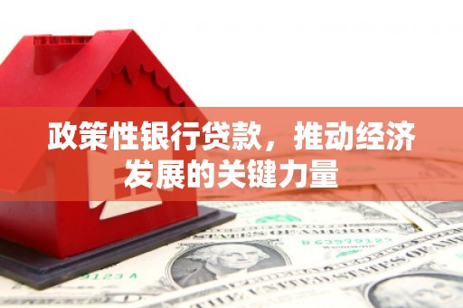 井陉矿区政策性银行贷款，推动经济发展的关键力量