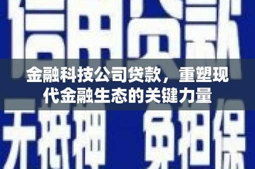 井陉矿区金融科技公司贷款，重塑现代金融生态的关键力量