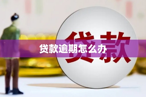 井陉矿区贷款逾期怎么办