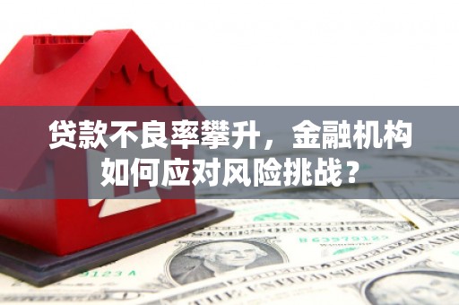 井陉矿区贷款不良率攀升，金融机构如何应对风险挑战？