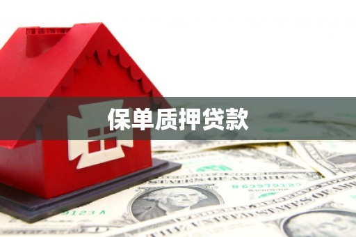 井陉矿区保单质押贷款